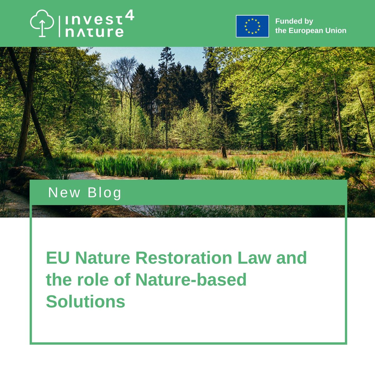 🌿The new Nature Restoration Law: a win for the environment is a win for people!
Read more about the role of NBS in the EU Nature Restoration Law: 🔗 invest4nature.eu/2024/10/09/eu-…

#NBS #naturerestoration #naturepositive