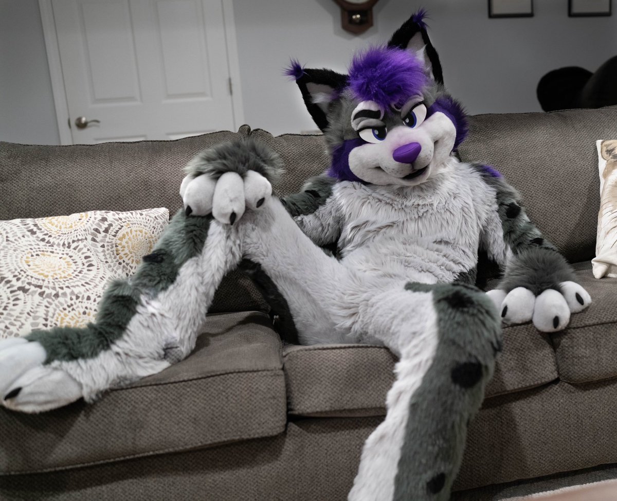 Lynx on the furniture