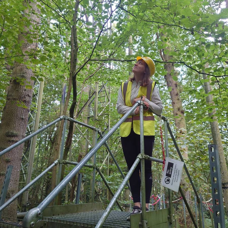 CA_Cleanforest's tweet photo. Fourteenth webinar with Marili Sell to talk about her #STSM activities and the outcomes of her recent research. Don't miss "Next generation #ManipulationExperiments"
⏰ 22nd October 2024; 10:00 – 11:00 AM (CET)
https://t.co/iCURIurdqH
#forest #ForestMonitoring #YoungResearcher https://t.co/kmr4rd2cd7