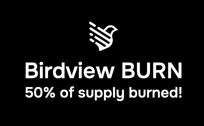 Birdview Burned 50% of the BDVW token (50% of supply)