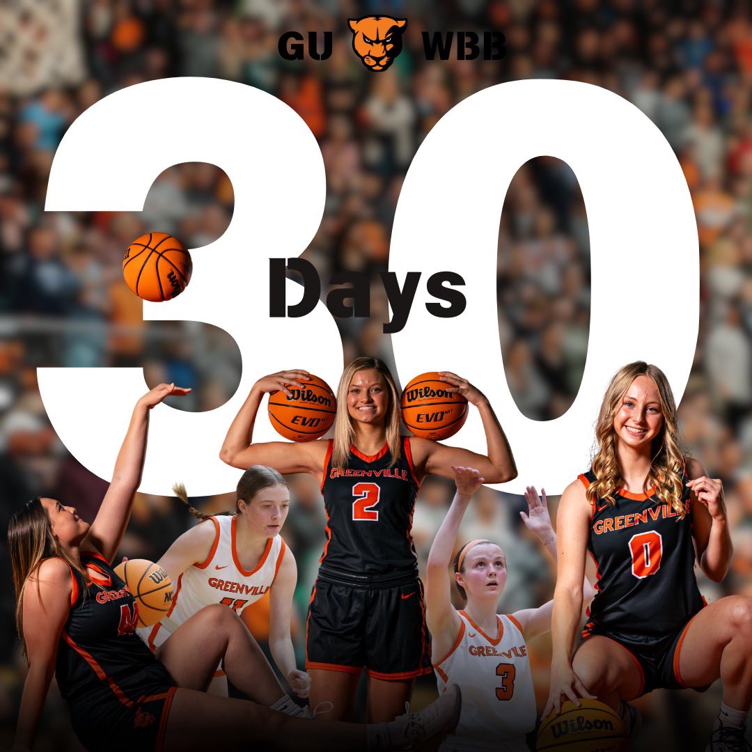 Greenville WBB (@guwbball) on Twitter photo The season is quickly approaching! 30 more days til game 1! #gopanthers🐾 #fearless The season is quickly approaching! 30 more days til game 1! #gopanthers🐾 #fearless