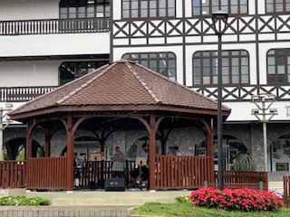 Super day to be back to Twitter. The second largest Oktoberfest in the world begins today here in Blumenau...even some AMF species from CICG are getting ready for the party! Ein Prosit Blumenau! (art by K Kemmelmeier)