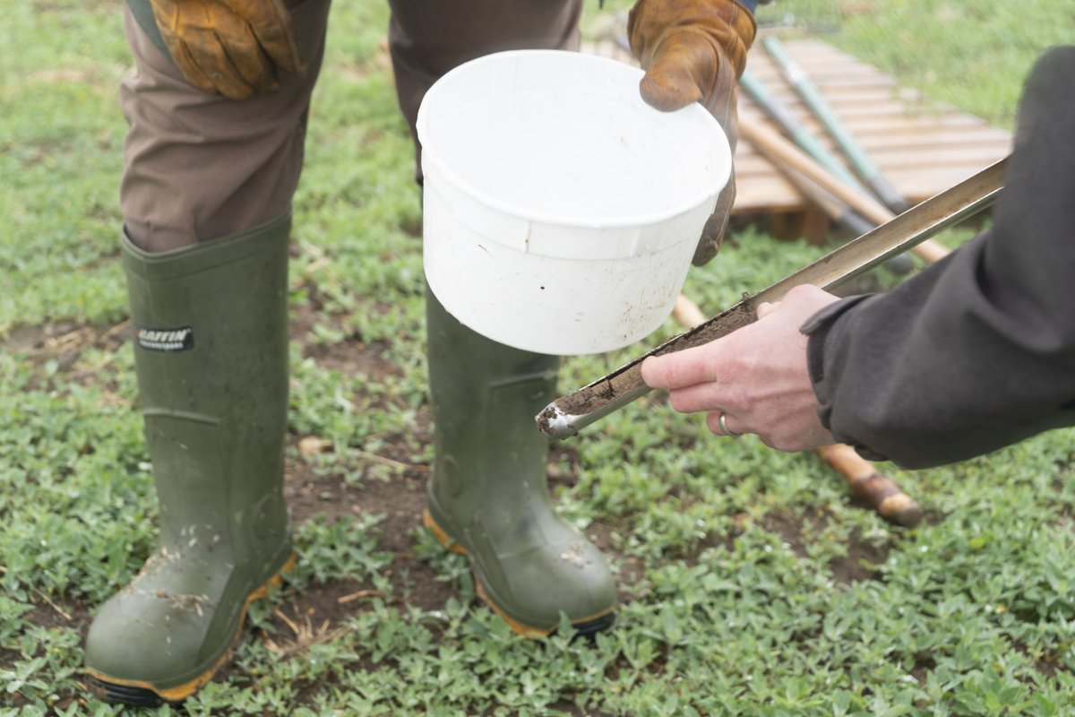 USDA_NRCS's tweet photo. Did you know that fall can be a good time to collect soil tests to help make management decisions next spring? After harvest, traditional soil test results show which nutrients are depleted from growing the cash crop and soil pH levels. https://t.co/ppu9YmNX2n