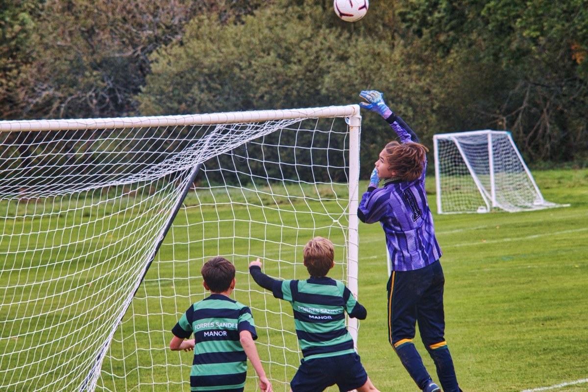 Forres Sandle Manor tweet media