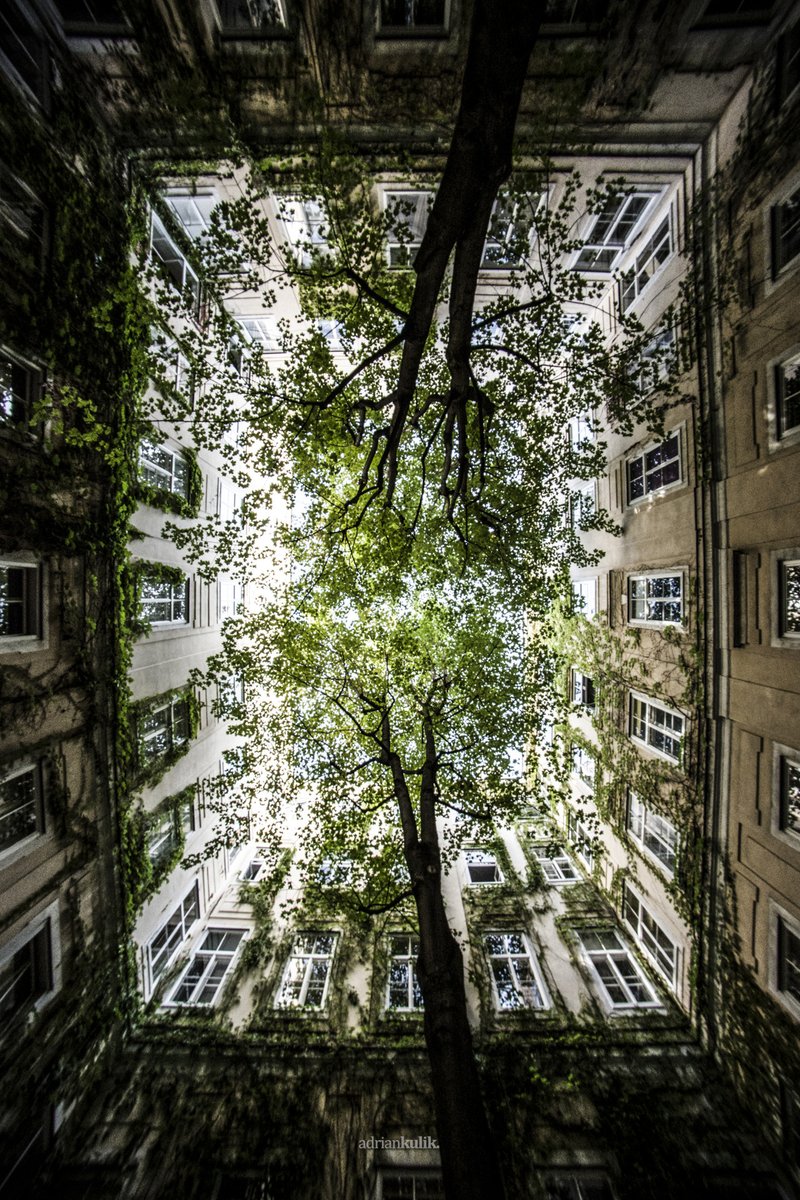 Cik ala t'cha (@ann_aurore) on Twitter photo 