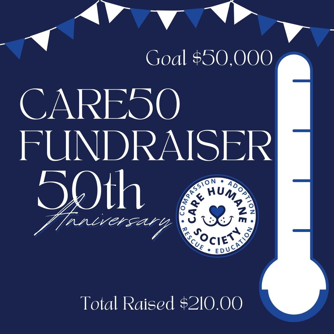 Celebrate 50 Years of Compassion with CARE! 
This October, join us in marking a milestone of kindness and giving. Every donation made will be matched dollar for dollar up to $25,000, doubling the power of your generosity!
Donate here: weblink.donorperfect.com/CARE50