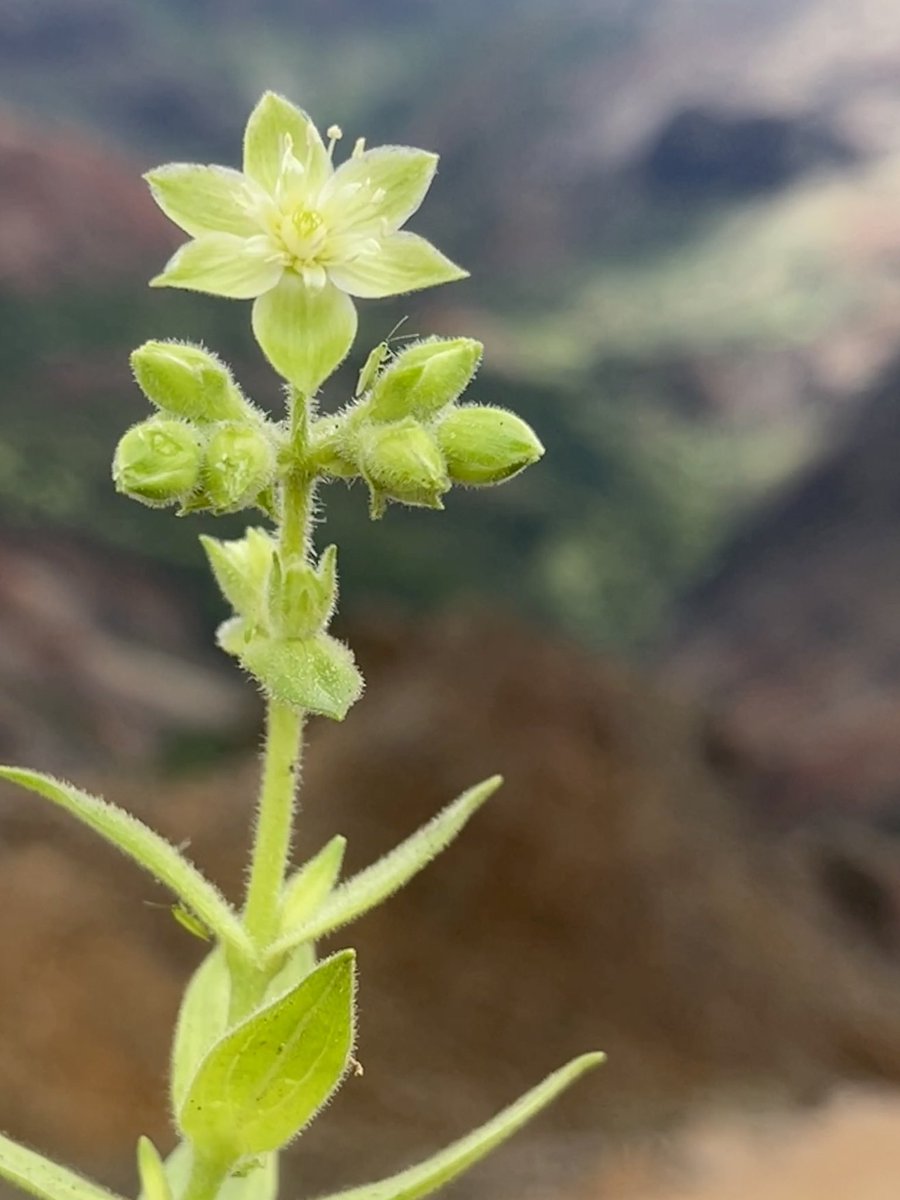 Ben Nyberg tweet media