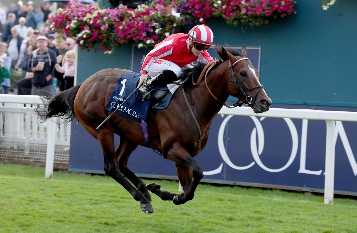 RacingTV's tweet image. 🚨 We have two pairs of County Stand badges for @yorkracecourse to giveaway! 

The lucky winners can choose to have the badges for the fixtures on Friday or Saturday this week! 

How to enter:

✅ Retweet this post
✅ Reply with the name of this Nunthorpe winner 🐴

Good luck! 🤞