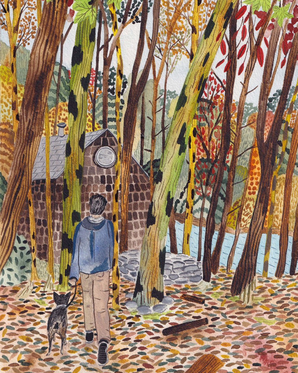 Autumn Upstate 🍁🍂 #ny #fall #autumn