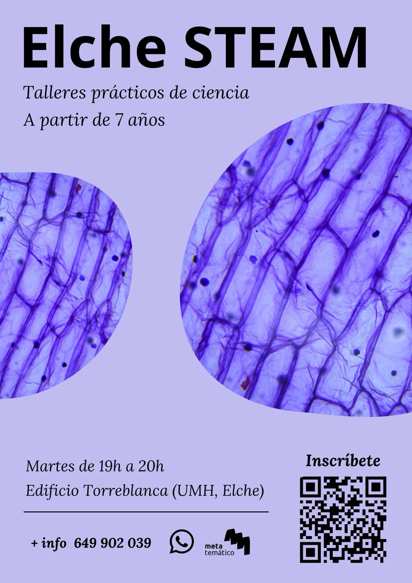 ¿Cuándo? Martes de 19h a 20h
¿Dónde? Edificio Torreblanca (Universidad Miguel Hernández, Campus de Elche)
¿Precio? 25€ al mes, 20€ para miembros de ACYTAL

Formulario de preinscipción: forms.gle/PK22hjxG8zHWyj… 

🧠 ¡Aprender es divertido cuando se hace jugando!