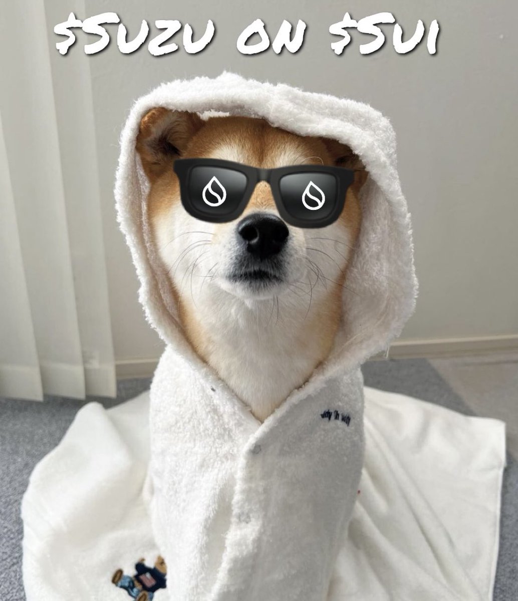 Sui Down 📉

Vibes up 📈

$Suzu on $Sui 💧