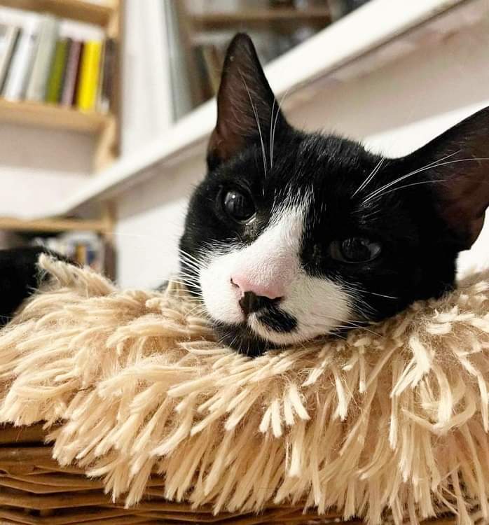 Dobrej nocki życzę