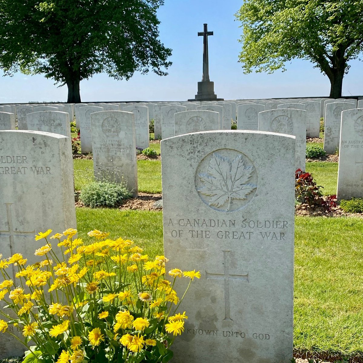 Nearly 28,000 Canadian military members who died in the First World War, the Second World War, and the conflict in Korea remain missing.

Learn how the Casualty ID Program can help verify if any of your missing family members are among remains. canada.ca/en/department-…