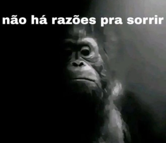 algo_funny's tweet image. A misera está solta