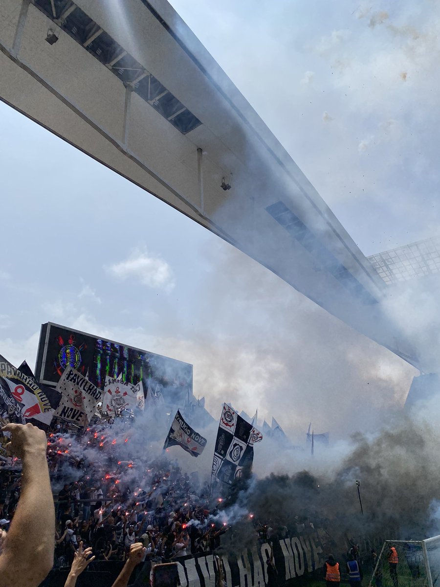 marisccpz's tweet photo. FOTOS MANEIRAS QUE NÃO PUDE POSTAR ANTES PQ O TWITTER TAVA FORA DO AR

sim, eu que tirei essas fotos. https://t.co/ewKvJxCDLB