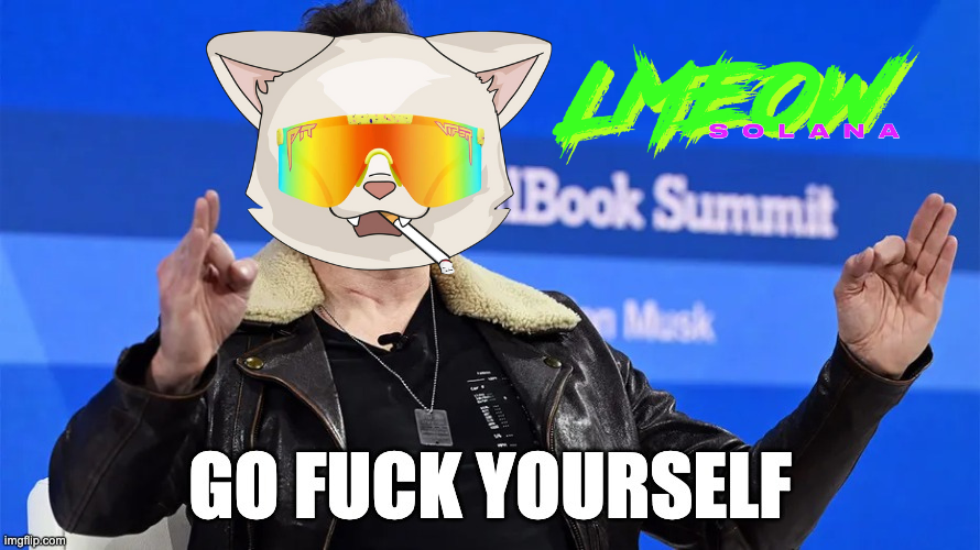 paper hands 😹 $lmeow