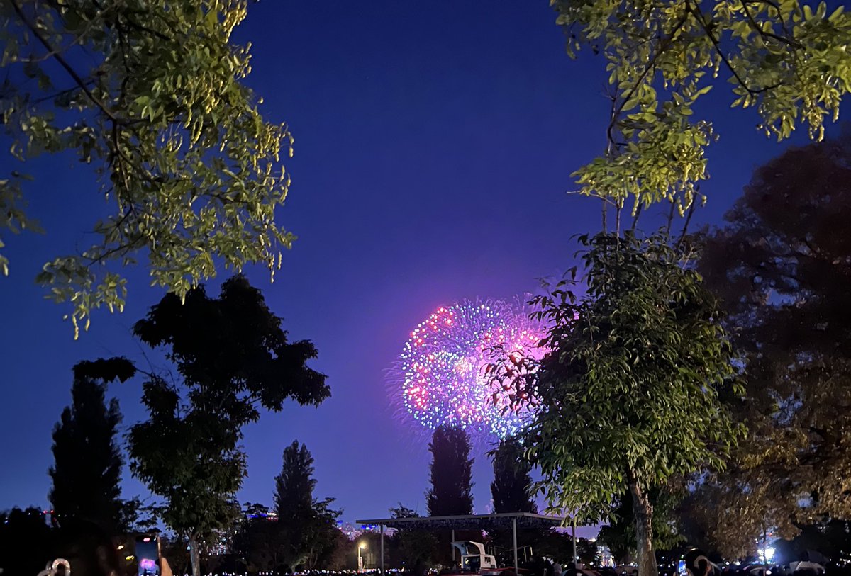 요즘 근황과
요즘 드는 생각 ☠️ : 사회생활을 안하고 살순없을까...