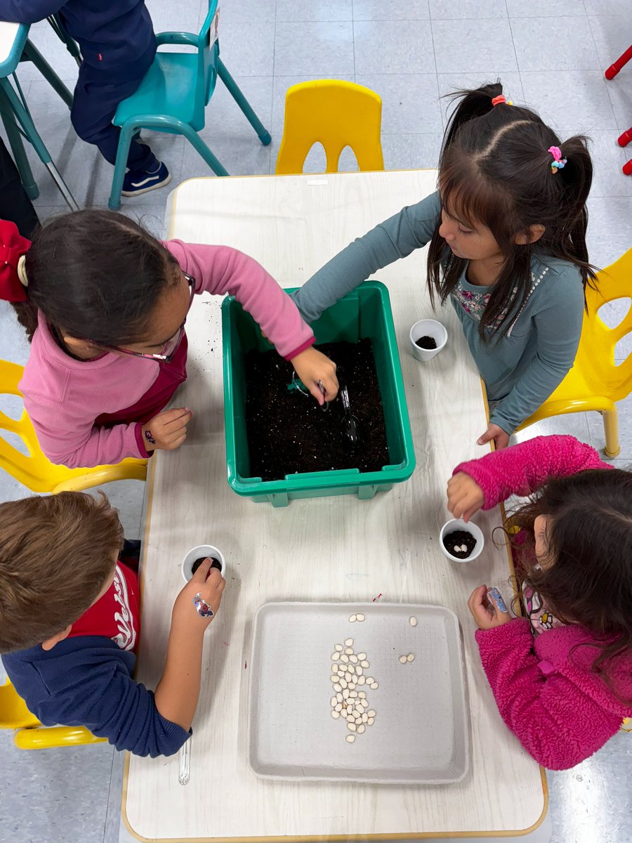 Jaclynn Sorensen tweet media