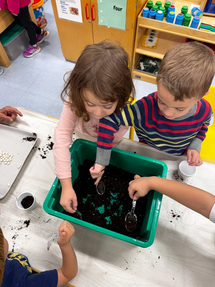 Jaclynn Sorensen tweet media