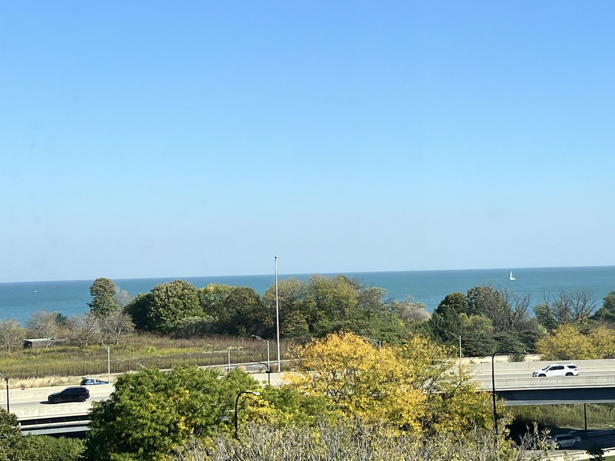 TarkeshRSingh's tweet image. Back to the grind after an amazing #SfN24
