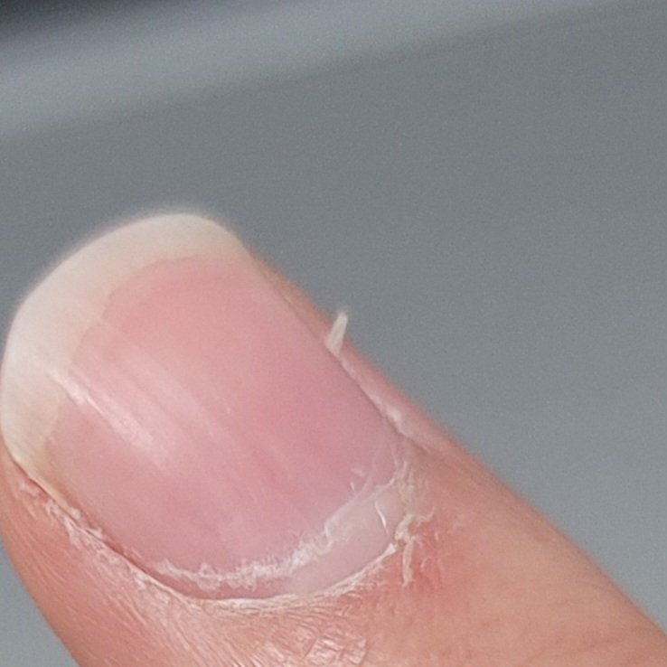 The Witch's Warren tweet media