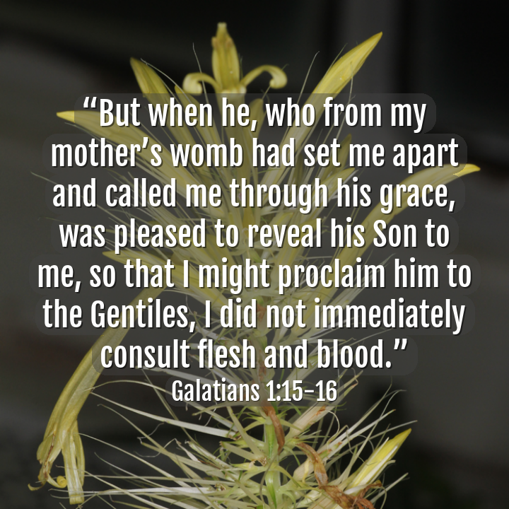 aicatholic's tweet photo. #chosen 
(📸@aicatholic) #ai #OpenAI #ChatGPT #catholic #bible #CatholicTwitter https://t.co/DEQBB7QQ7m