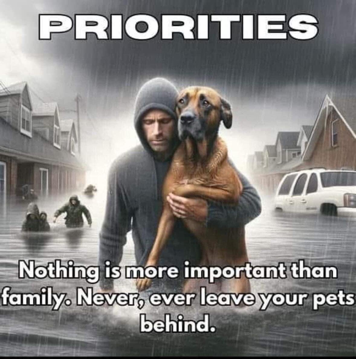 Never never never leave them behind