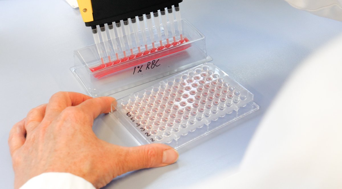 We are pleased to introduce our 𝗻𝗲𝘄 𝗶𝗻𝗮𝗰𝘁𝗶𝘃𝗮𝘁𝗲𝗱 𝗮𝘃𝗶𝗮𝗻 𝗶𝗻𝗳𝗹𝘂𝗲𝗻𝘇𝗮 𝗛𝟱 𝗮𝗻𝘁𝗶𝗴𝗲𝗻𝘀. These antigens are essential for accurate veterinary diagnostic testing for avian influenza using the HI test. More information: gdanimalhealth.com/Diagnostics