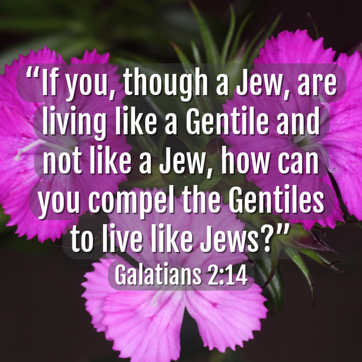 aicatholic's tweet photo. #integrity 
(📸@aicatholic) #ai #OpenAI #ChatGPT #catholic #bible #CatholicTwitter https://t.co/P16qBgtJ1H