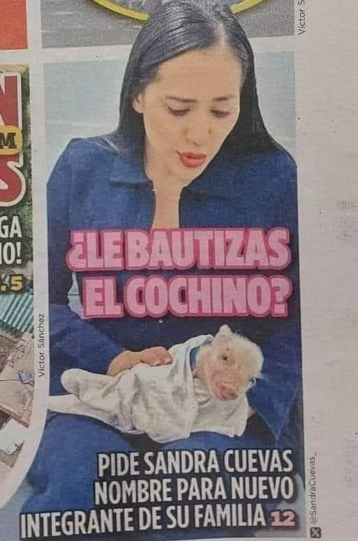 SuavecitoLomito's tweet photo. Que nombre le pondríamos?
#pobrepoderoso https://t.co/usDp9ZuVX0