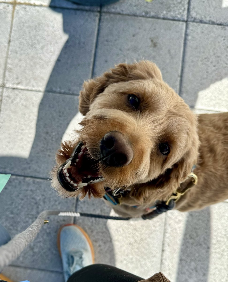 halfbakedbykate's tweet photo. Just happy to be here 🥰 https://t.co/e2Q5OJJ5CL