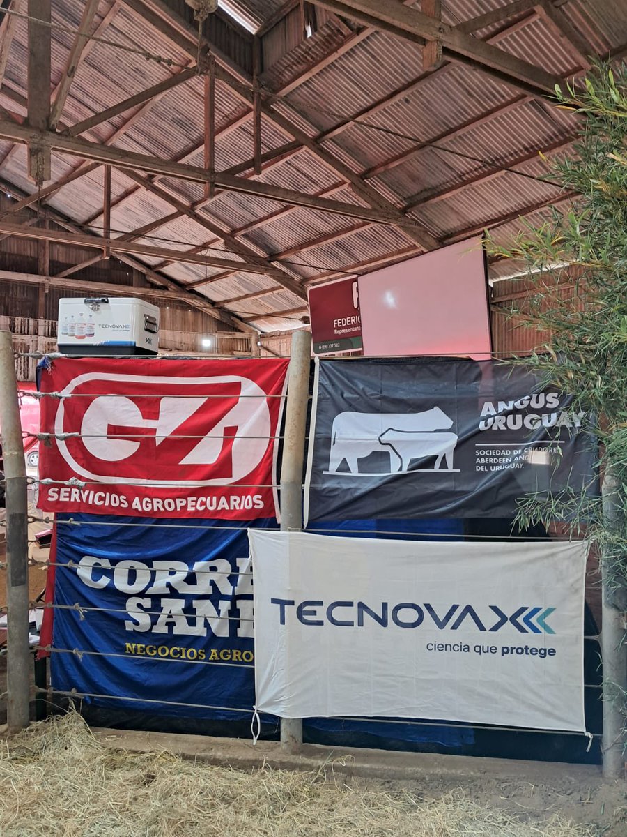 Todo listo para recibir amigos y clientes en el remate anual de <a href="/CBAYUCUA/">CABAÑA BAYUCUA</a> 

<a href="/AngusUruguay/">Angus Uruguay</a> 
<a href="/Tecnovax/">Tecnovax</a>