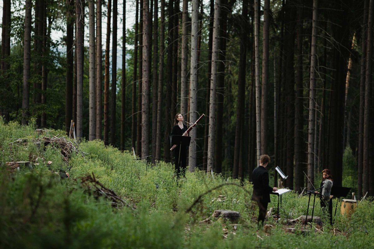 "La actividad cultural tiene la capacidad de minimizar sus propios impactos medioambientales, pero también de: cambiar mentalidades, modificar comportamientos, crear comunidades comprometidas y denunciar estructuras insostenibles". 
Nuevo artículo en 👉 fescultura.org/es/cultura-tra…