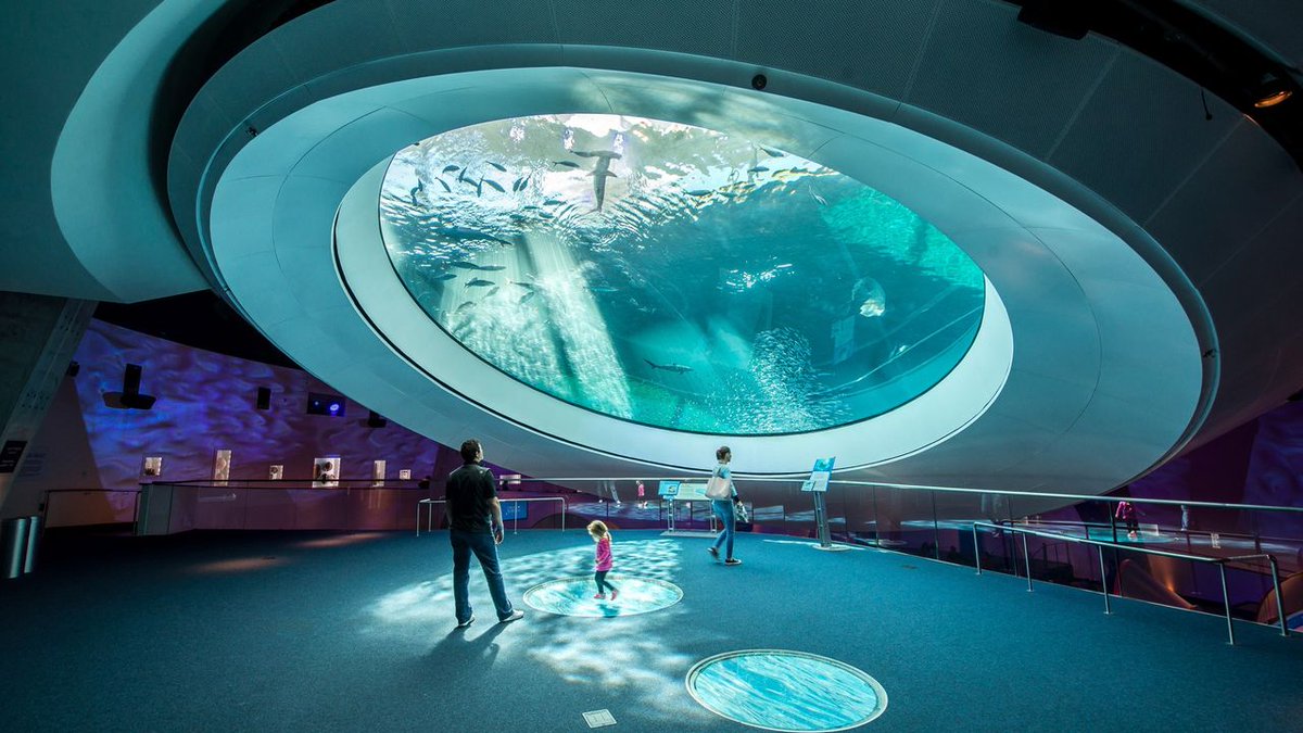 FrostScience's tweet photo. Frost Science is Open—Come Explore! 💫
Our doors are open today, and we’re ready for you to explore the wonders of science. Head to https://t.co/ESJeuH8XZn to start your adventure. It's our world—explore it! #FrostScience https://t.co/G8zGpyAgcC
