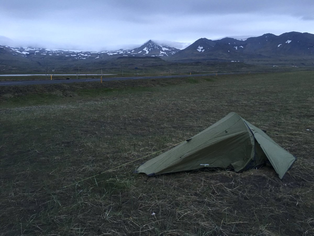 How I spent 7 ‘nights’ in Iceland in June. 23hr birding… awesome place