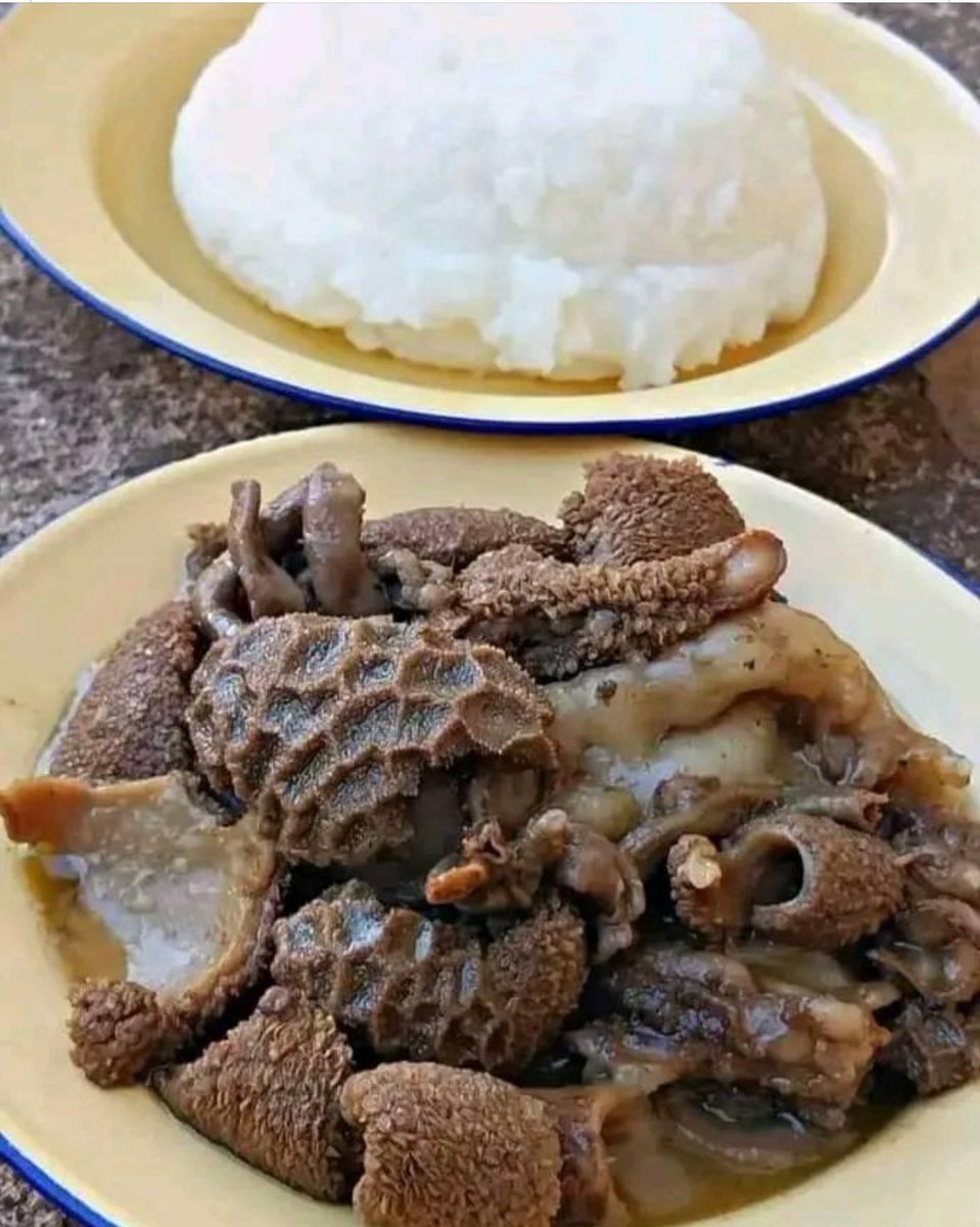 If u believe the lies trump and his minions are telling then you also must believe that this is chicken and mash potatoes!!😂😂😂