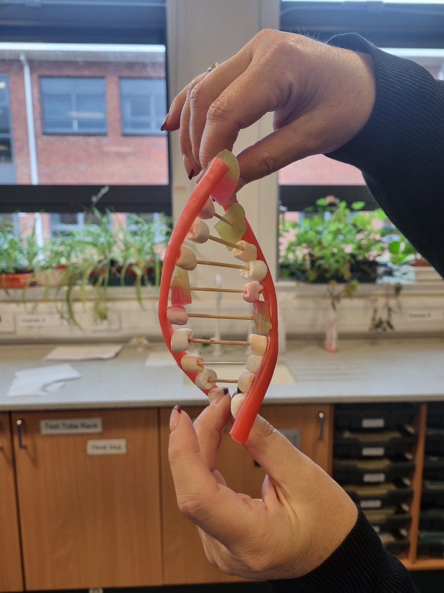 BHSscience tweet media