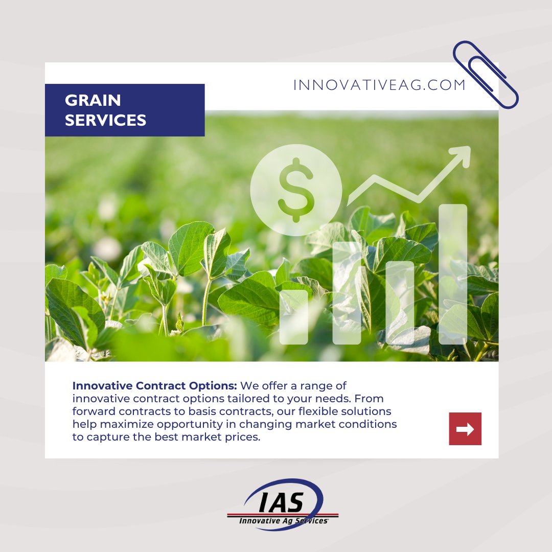 IAS_Coop's tweet photo. Exciting Contract Options Tailored to You! https://t.co/hML2azMeOp.
#Agriculture #Innovation #MarketSolutions #TraditionMeetsInnovation #IASGrain https://t.co/gqWYqMrVNK