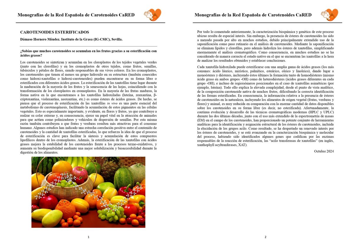 Ya está disponible la nueva monografía divulgativa de CaRED (octubre 2024): 'Carotenoides esterificados', por nuestro compañero Dámaso Hornero Méndez 👏. Puedes ver todas nuestras monografías en nuestra web: departamento.us.es/dgenetica/CaRe… pic.x.com/CXBlQP1BEU