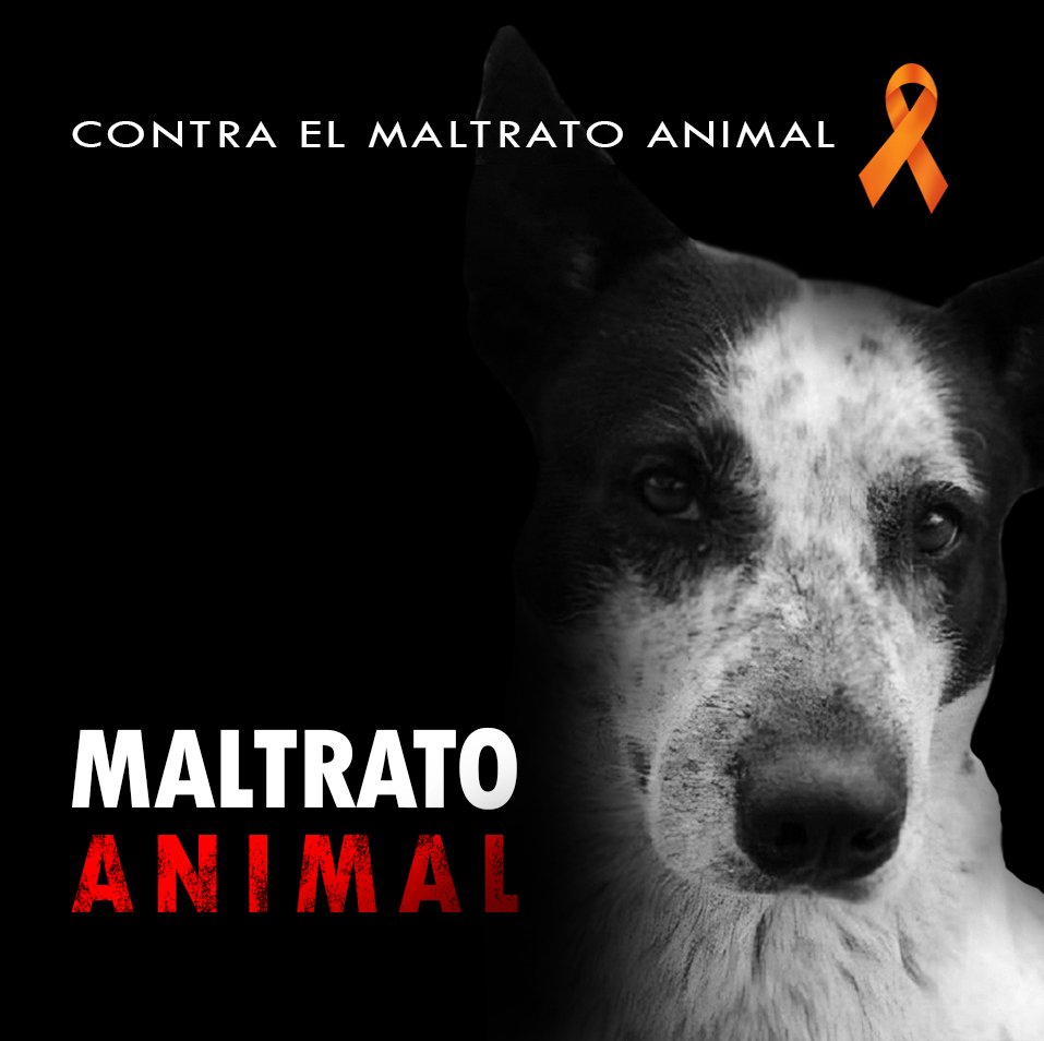 El principal propósito de <a href="/Farmatodo/">Farmatodo</a> en esta vida debería ser ayudar a quien lo necesite, incluyendo animalitos comunitarios. Pero si no puede ayudarles al menos no hacerles daño!!!
#FarmatodoEsMaltratoAnimal
#Manchas
#DondeEstaManchas
@naranjara <a href="/COOLCHANNELTV/">Cool Channel TV</a> <a href="/TheRed_Shadow/">Capitán Red Shadow | Marketing</a>