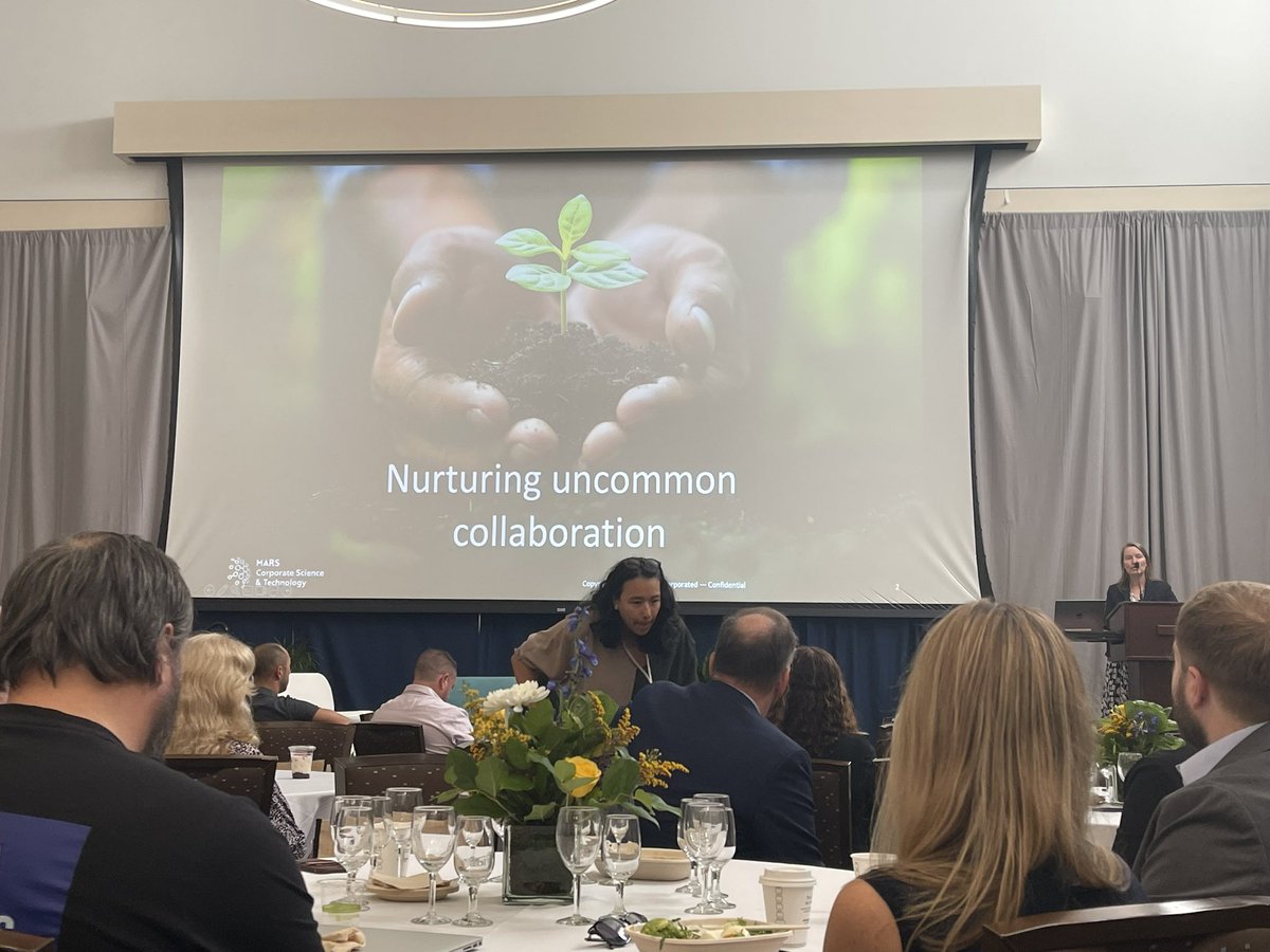 Ali Wing tweet media