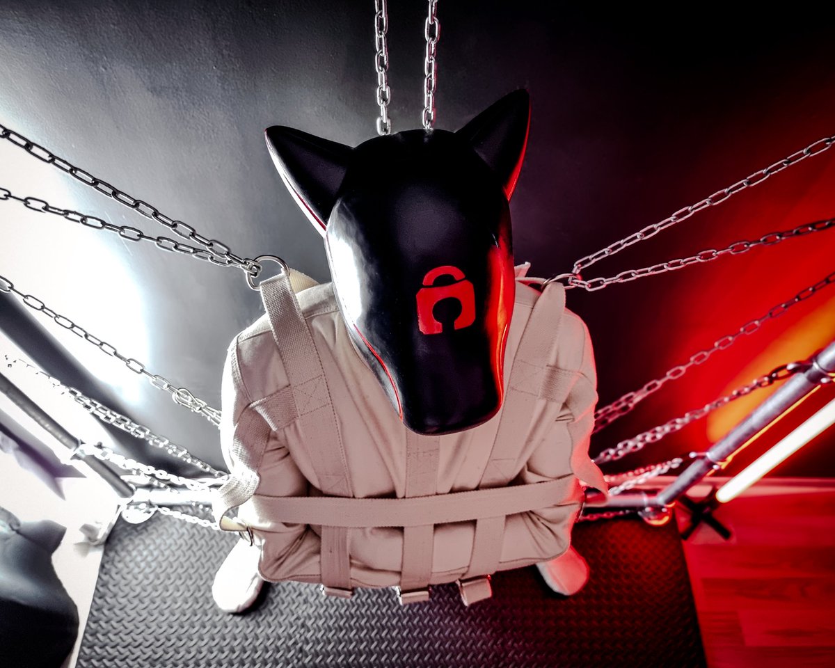 this.pup = null; //🐶😵‍💫🔒

Hood by <a href="/furrjoi01/">FURRJOI</a>
📷 by @Mister__Joy