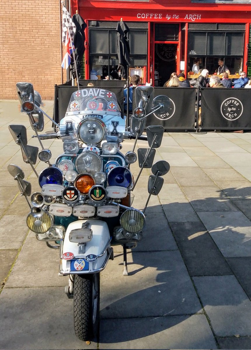 Cappuccino cats coffee culture