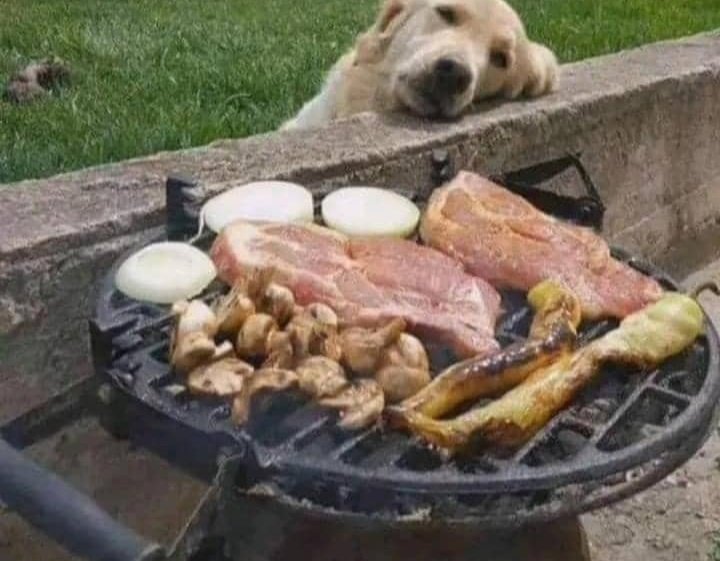 𝑨𝑯𝑰𝑴𝑩𝑰𝑺𝑰𝑩𝑾𝑬 𝑻𝑰𝑴𝑶𝑻𝑯𝒀 tweet media