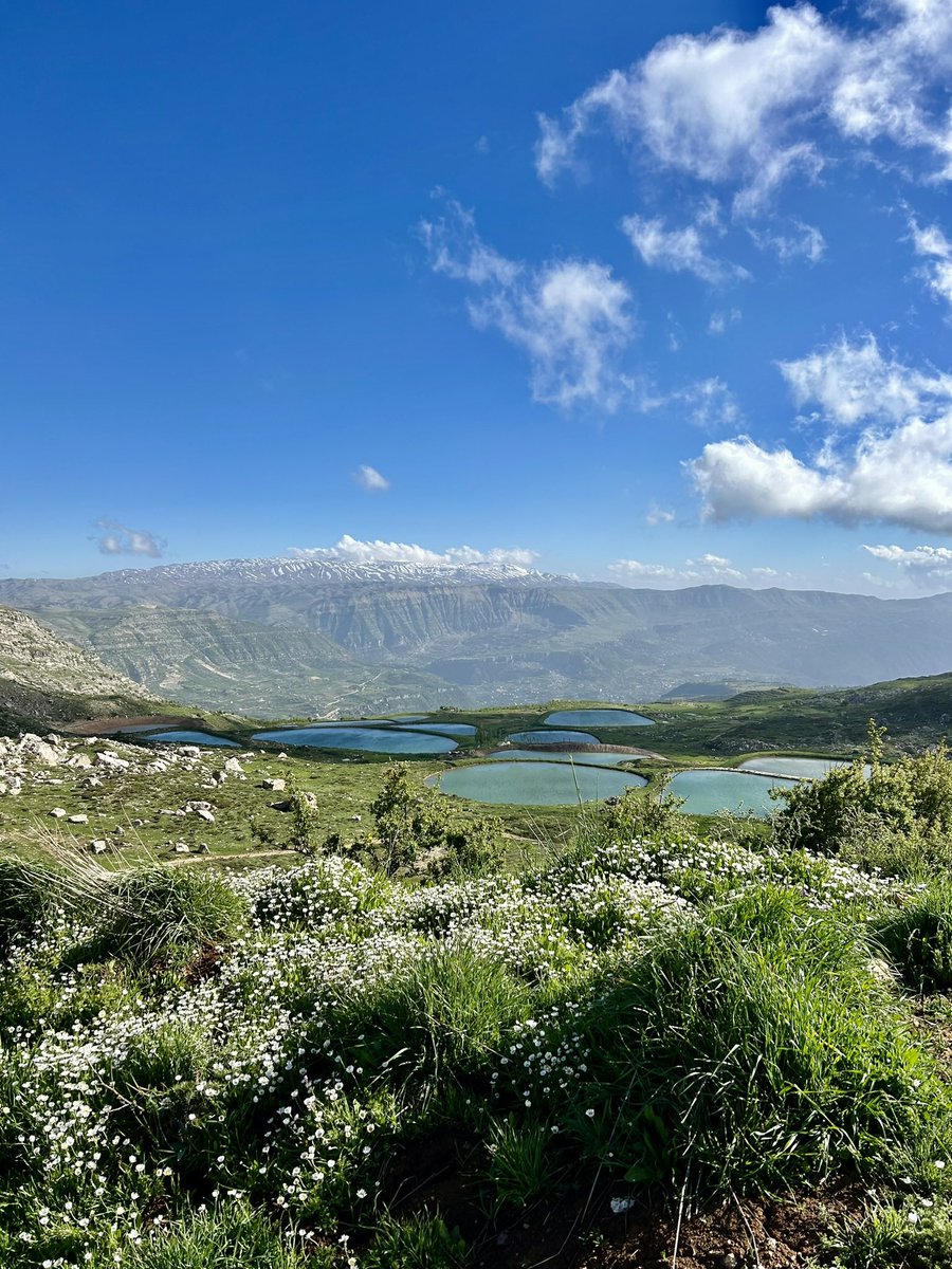 andrelopeztomas's tweet image. 🇱🇧El Líbano es un país de una riqueza natural,humana y gastronómica desbordante. Entre sus pequeñas fronteras, hay enorme diversidad de paisajes y realidades.
Al ser de las privilegiadas que llaman al país de los cedros hogar,siento la responsabilidad de compartirlo cada día.

🧵