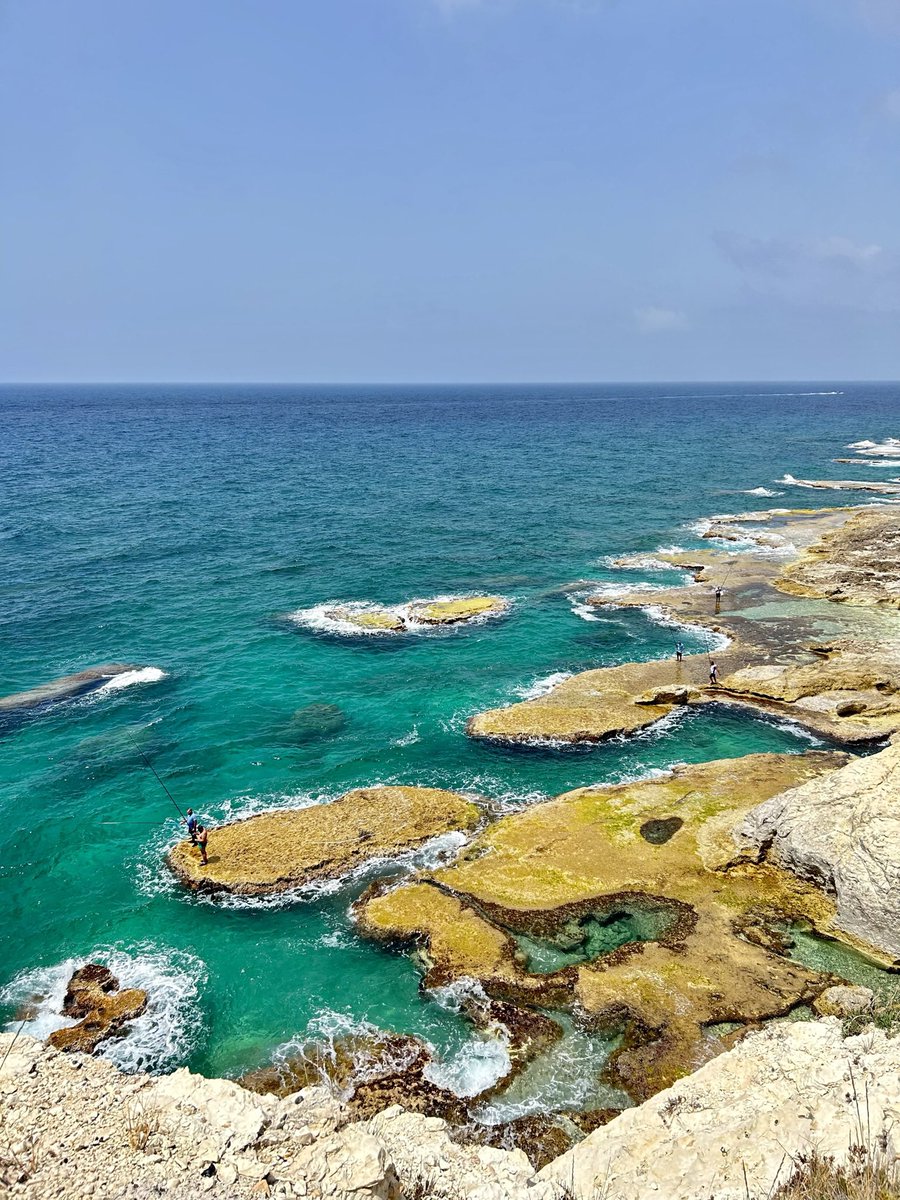 andrelopeztomas's tweet image. 🇱🇧El Líbano es un país de una riqueza natural,humana y gastronómica desbordante. Entre sus pequeñas fronteras, hay enorme diversidad de paisajes y realidades.
Al ser de las privilegiadas que llaman al país de los cedros hogar,siento la responsabilidad de compartirlo cada día.

🧵