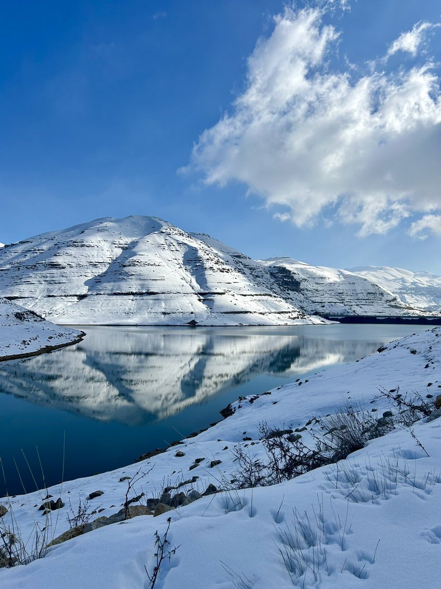 andrelopeztomas's tweet image. 🇱🇧El Líbano es un país de una riqueza natural,humana y gastronómica desbordante. Entre sus pequeñas fronteras, hay enorme diversidad de paisajes y realidades.
Al ser de las privilegiadas que llaman al país de los cedros hogar,siento la responsabilidad de compartirlo cada día.

🧵