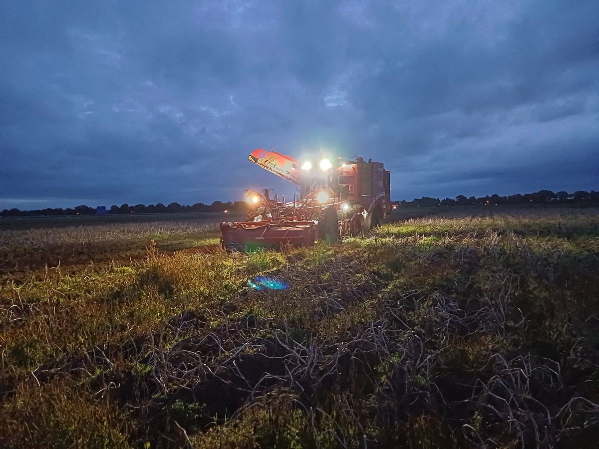 As bie herfstdag de luchten zwoarder worden
Dan giet t allenig nog om wat er onder zit 😎
Aardappel oogst 2024 afgerond ✅️