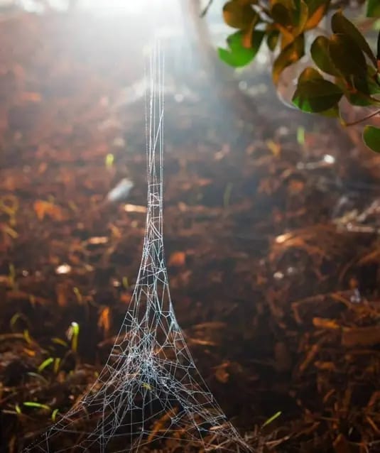 AutismeStorm's tweet image. Een #replica van de #Eiffeltoren, gemaakt door een #spin.

🕸🕷🕸
🗼🗼🗼

#insect #dieren #fauna #flora #natuur #leven #Parijs #monument #architectuur #metaal #staal #sightseeing #bezoekers #visit #Wereldtentoonstelling #hoofdstad #Frankrijk #bezoek