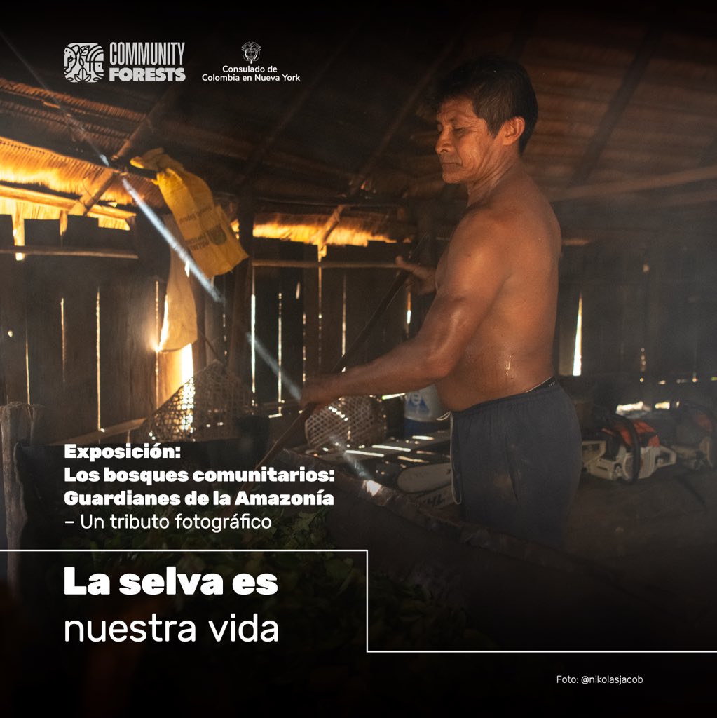 thecforests's tweet photo. Preserving community forests is vital to combating climate change. 🌍 Visit our exhibition in #NYC and join us in celebrating the heroes of the Amazon.

Preservar los bosques comunitarios es vital para combatir el cambio climático. 🌍 Visita nuestra exposición en #NYC. https://t.co/GH6LCiIm00